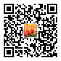 parramatta wechat massage